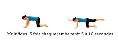 Exercice musculation